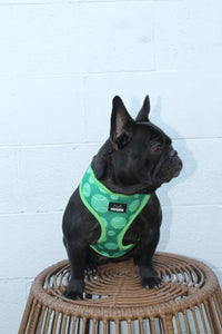 Succa for Balls Reversible Harness