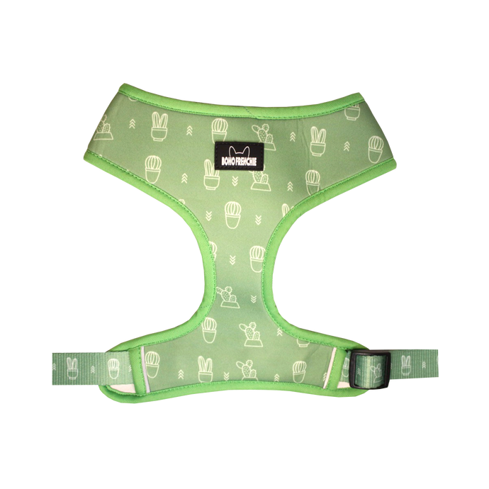 Succa for Balls Reversible Harness